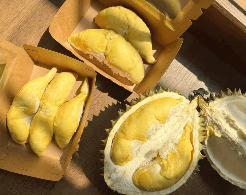 Khanh Son durian