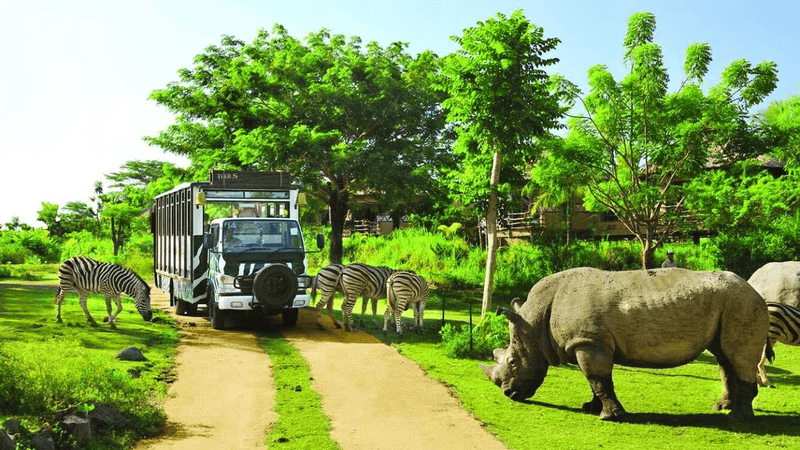 "Caged humans, free animals" at Safari Park