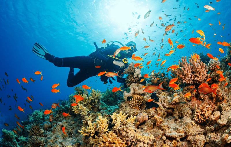 Fishing and coral diving in An Thoi archipelago
