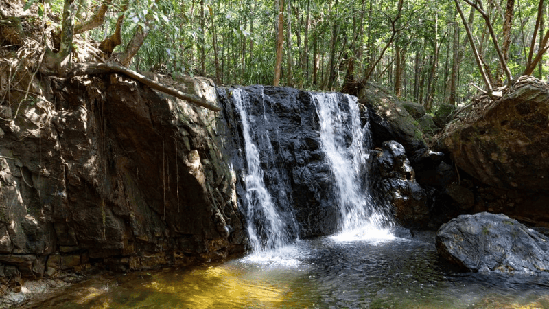 Hiking, waterfalls, and exploring pristine forests