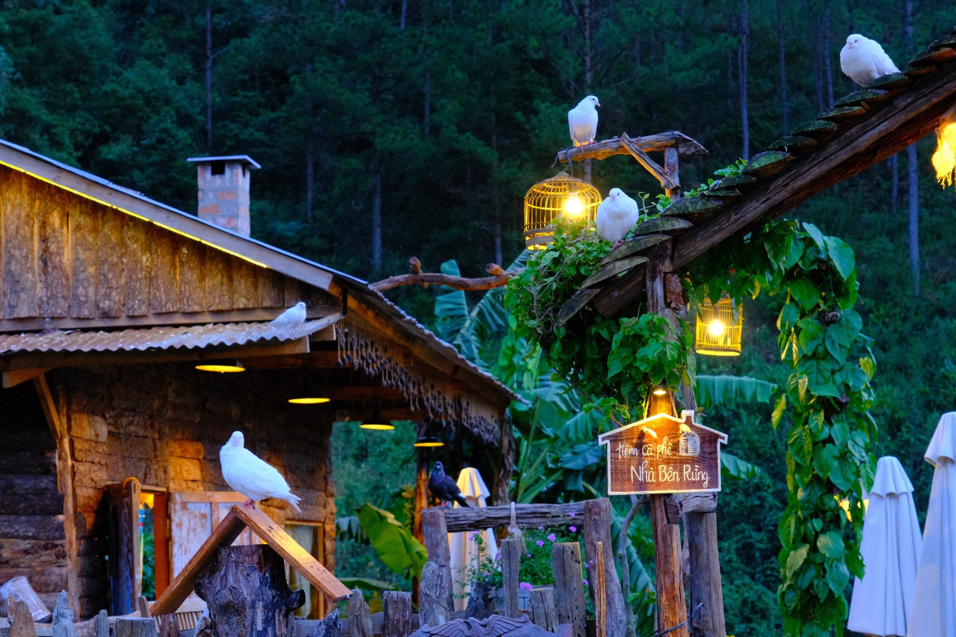 Tiem Cafe Nha Ben Rung