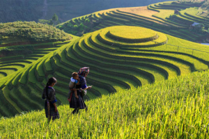 Thiết kế chưa có tên (15)