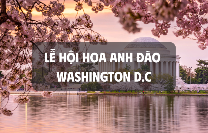 Du Lịch Washington D.C: Lễ Hội Hoa Anh Đào