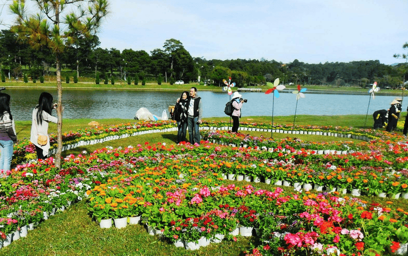 Themed gardens and floral art exhibits at the festival