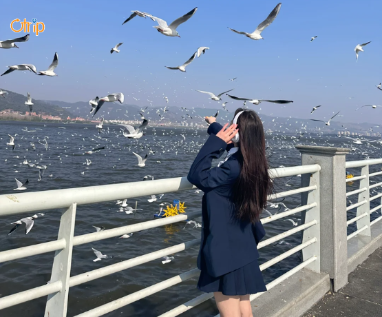 TOUR HÀ KHẨU – CÔN MINH – ĐẠI LÝ 4N3Đ