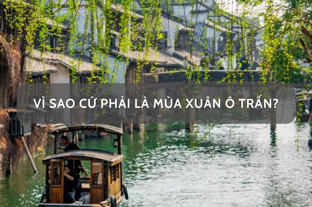 Vì sao cứ phải là mùa xuân Ô Trấn