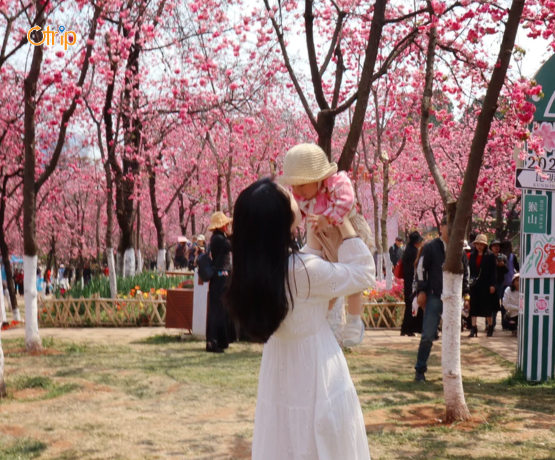 TOUR HÀ KHẨU – CÔN MINH – ĐẠI LÝ 4N3Đ