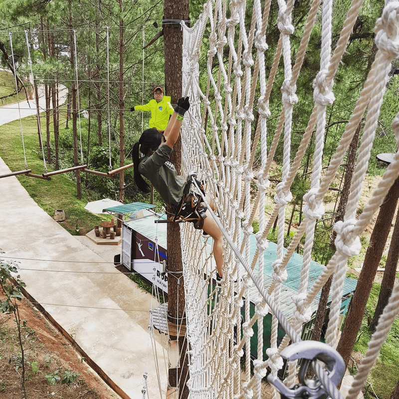 Tarzan game