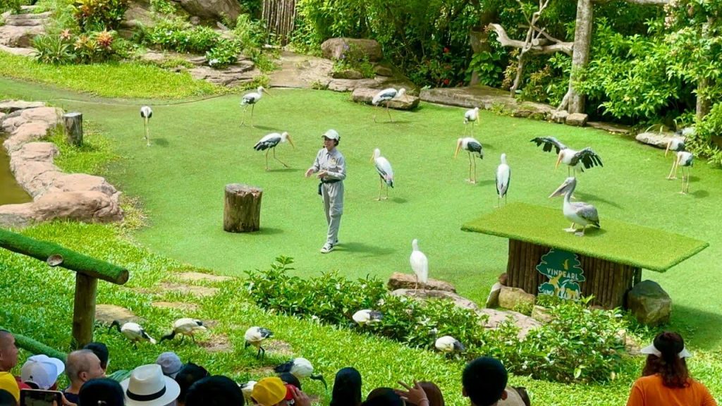 A rewarding experience with over 119 bird species in Phu Quoc