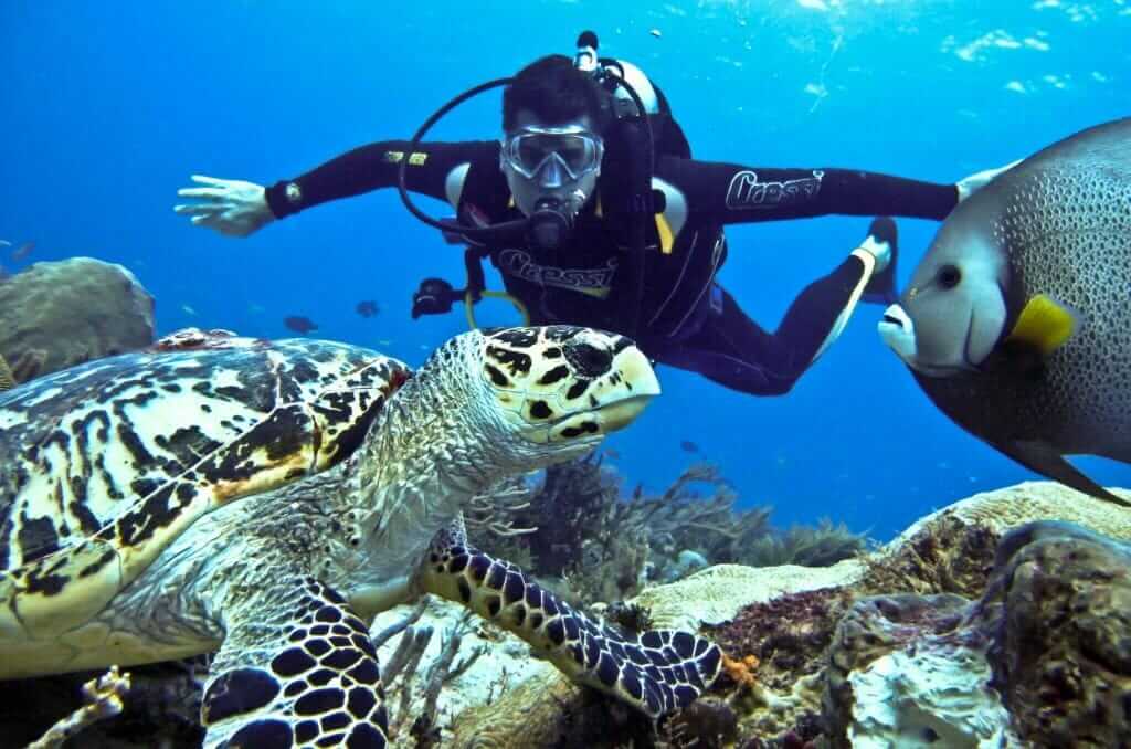 Surrounded by the mesmerizing marine creatures in Phu Quoc