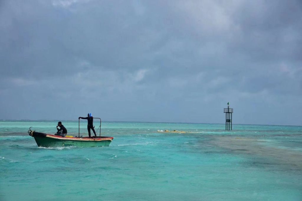 Hoang Sa Vietnam is rich in fishery resources and potential oil and gas