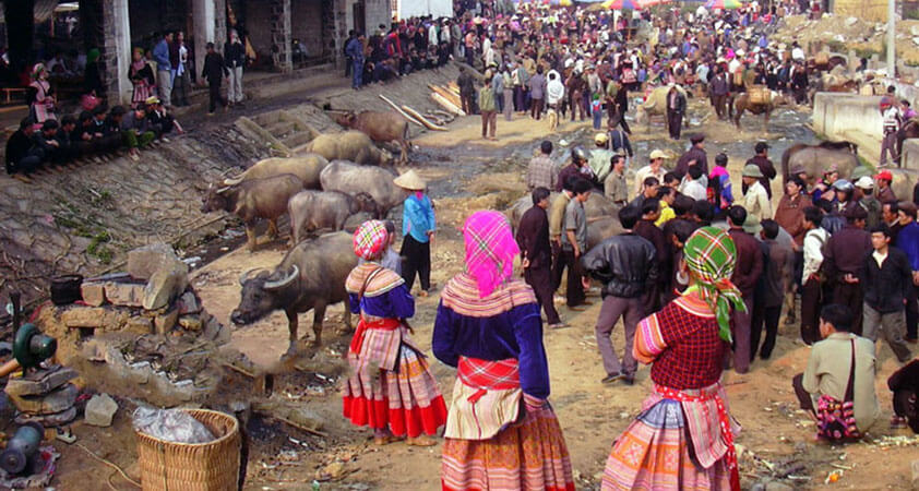 The bustling livestock section where locals barter over buffaloes
