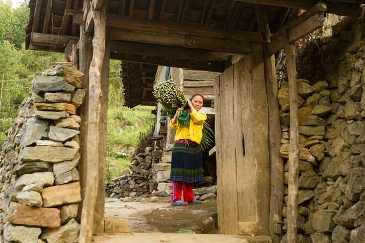 The traditional housing of the Mong people