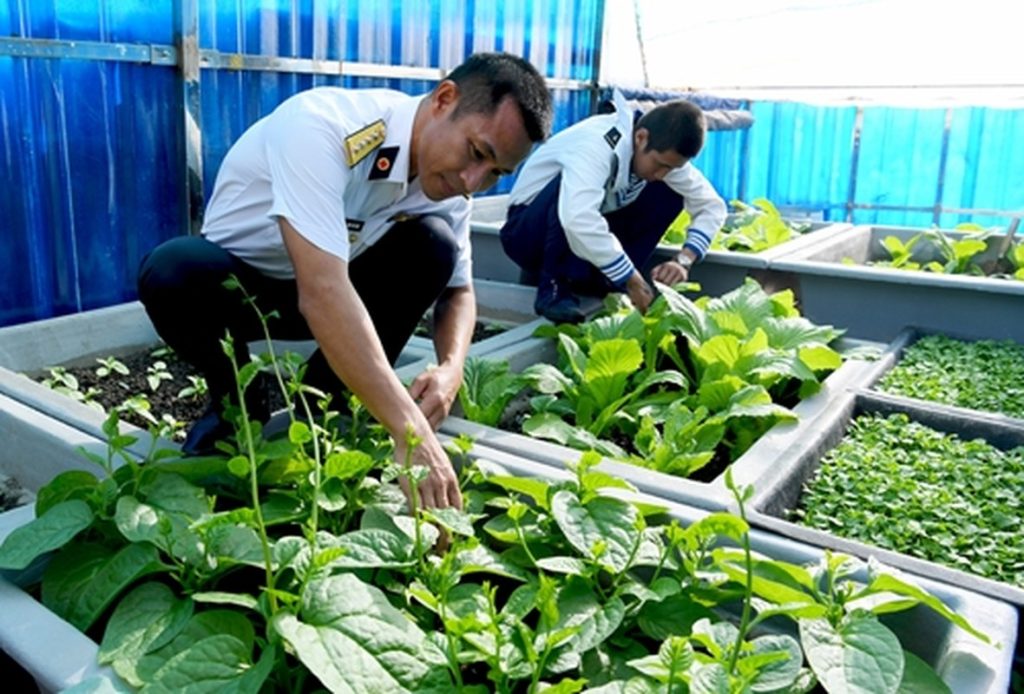Soldiers’ self-sufficiency on Truong Sa Island
