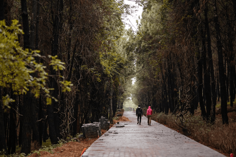 Best times to visit Vong Canh Hill