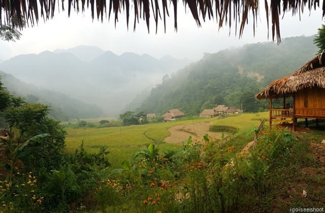 Cultural Experience in Hieu Village