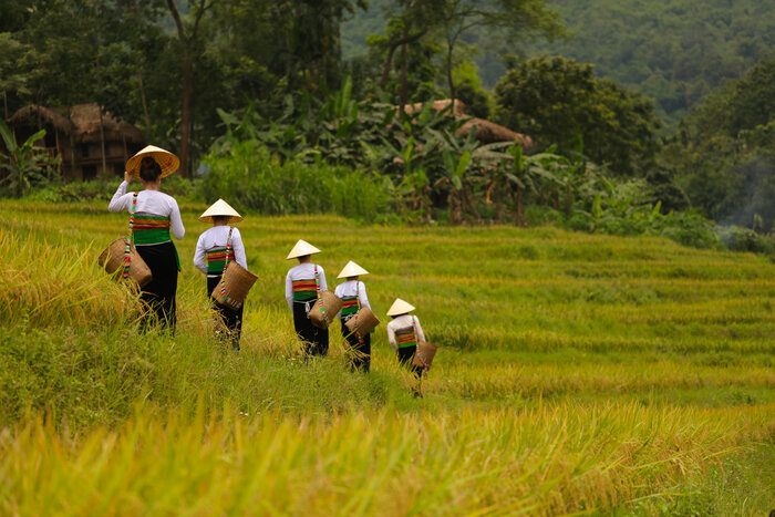 Things to do in Pu Luong - Trekking through Rice Terraces and Valleys