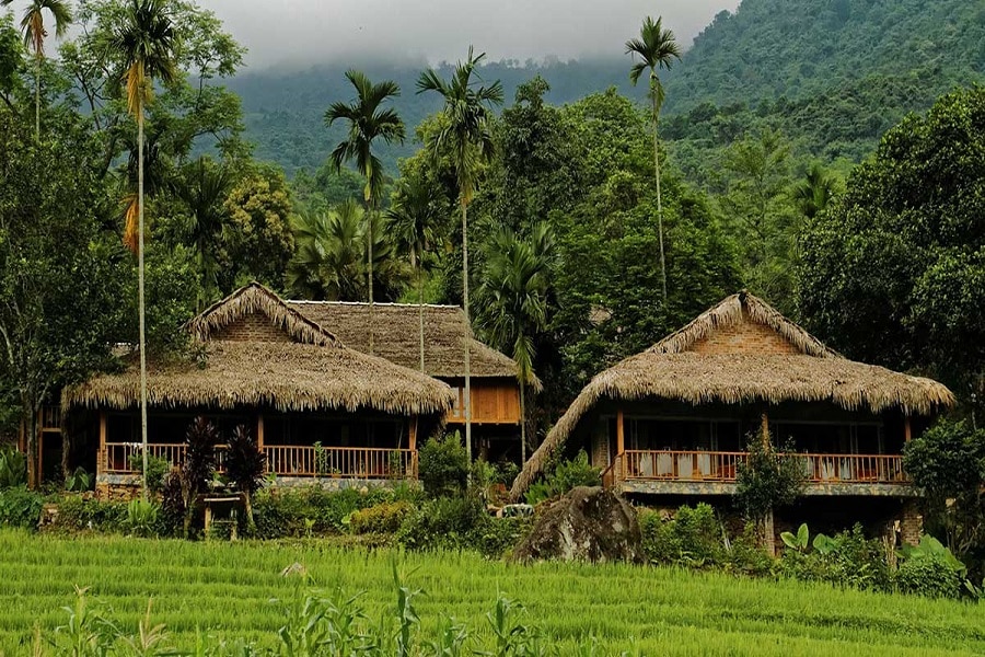 Thai Stilt Houses & Homestays - Top attraction in and near Don Village Pu Luong
