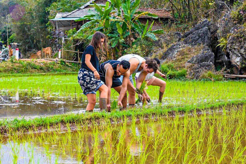 Spring and Autumn are the best seasons to travel to Mai Chau