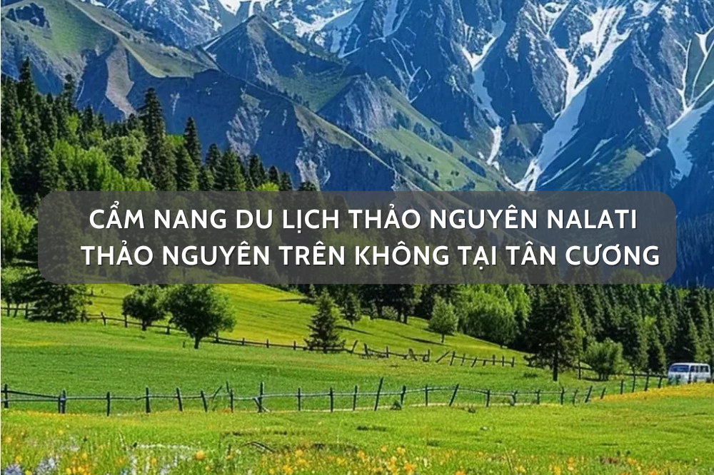 Cẩm dang du lịch thảo nguyên Nalati – “Thảo nguyên trên không” tại Tân Cương