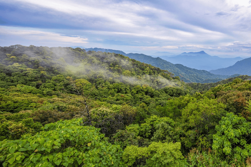 Overview of Bach Ma Mountain