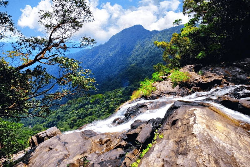 Must-visit check-in spots at Bach Ma Mountain