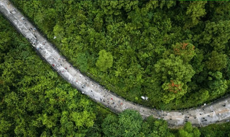 Visiting Bach Ma Mountain: A practical guide