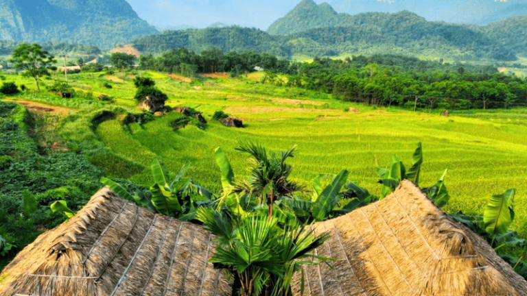 How to travel from Hanoi to Pu Luong?
