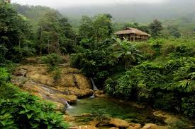 Hieu Village: A Peaceful Destination in the Heart of Pu Luong's Majestic Nature