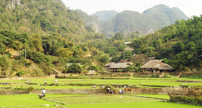 Local Village - Top attraction in and near Don Village Pu Luong