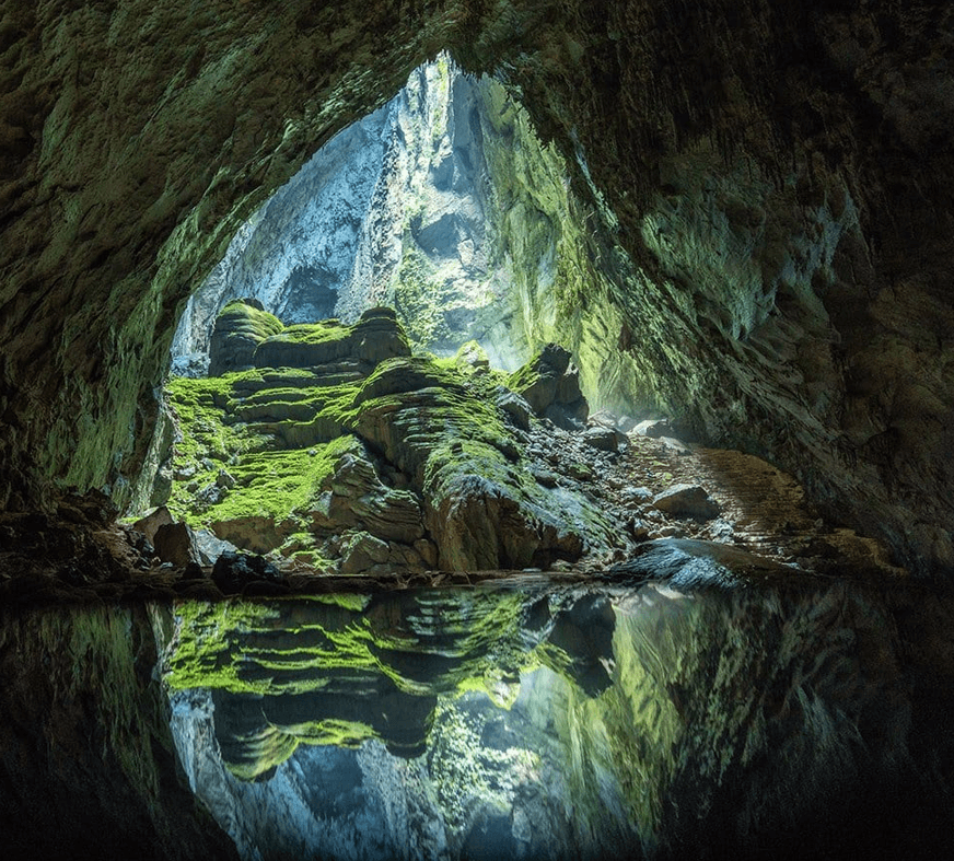 This extraordinary environment with numerous species exclusive to this region