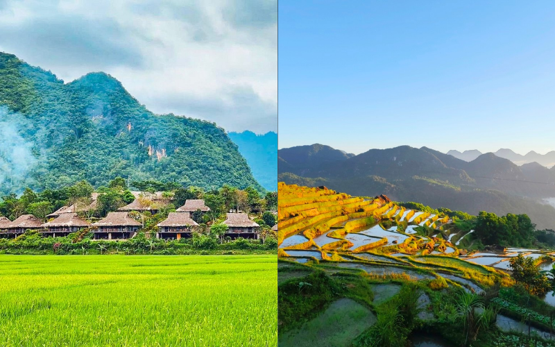 Culture and Local Experience - Where to Find Authenticity