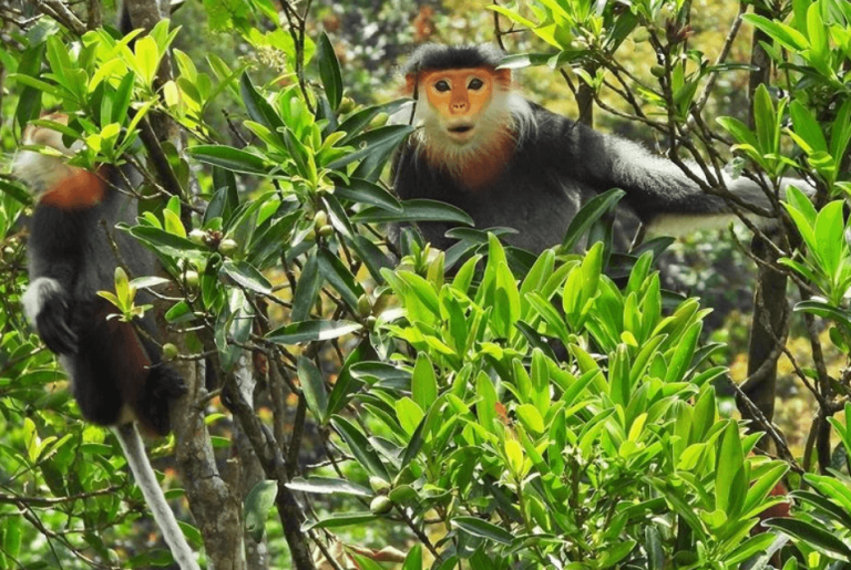 National Park Phu Quoc - The wild heart of pristine island paradise
