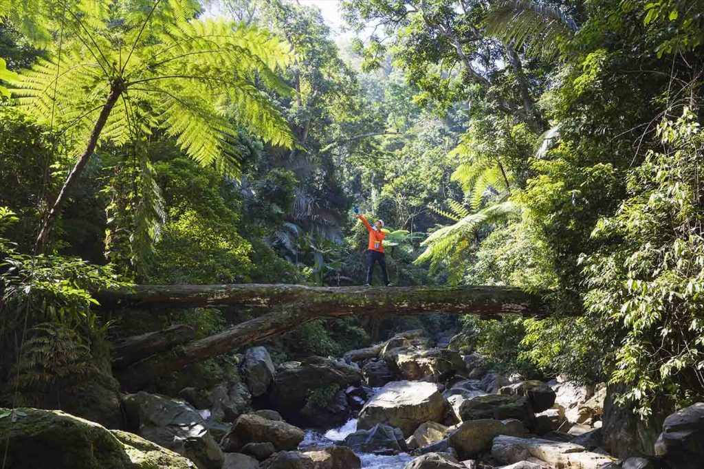 Duong woodlands offer a welcome respite from the sun's heat