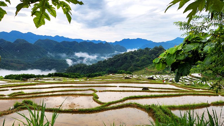 Things to do in Pu Luong - Photographing at Don Village