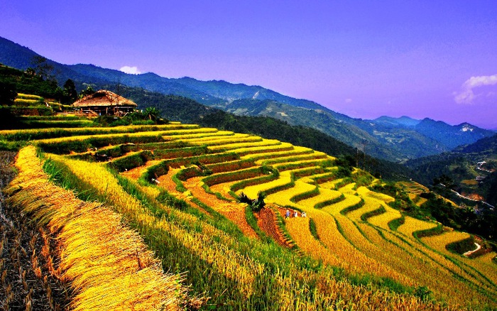 Trekking and Hiking Trails – Exploring the untouched landscapes