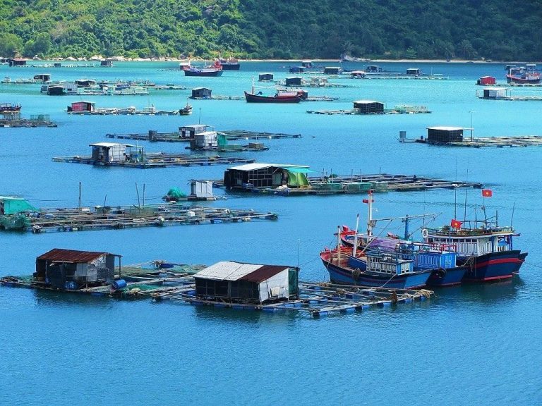 A-to-Z guide for the most thrilling Vung Ro Bay adventure