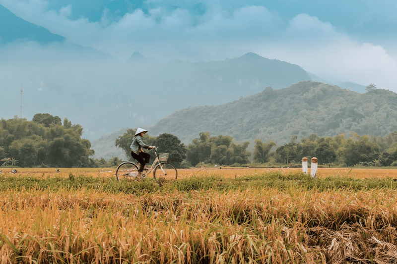 Explore the scenic trails and rice fields