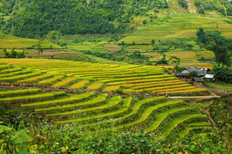 How to explore Mai Chau in February like a local