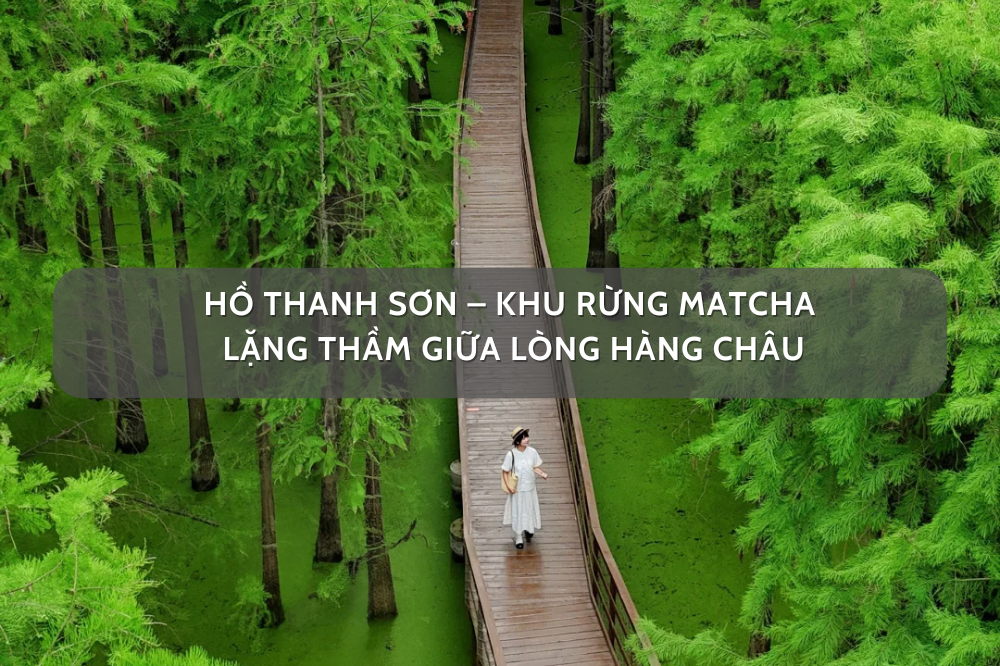 Hồ Thanh Sơn – Khu rừng matcha lặng thầm giữa lòng Hàng Châu