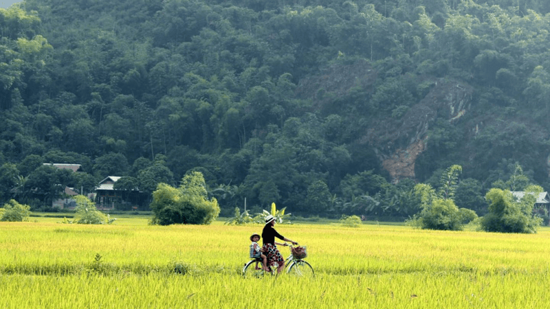 Weather in Mai Chau in February - What you need to know