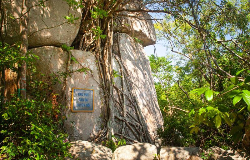 What are Minh Dam Bases