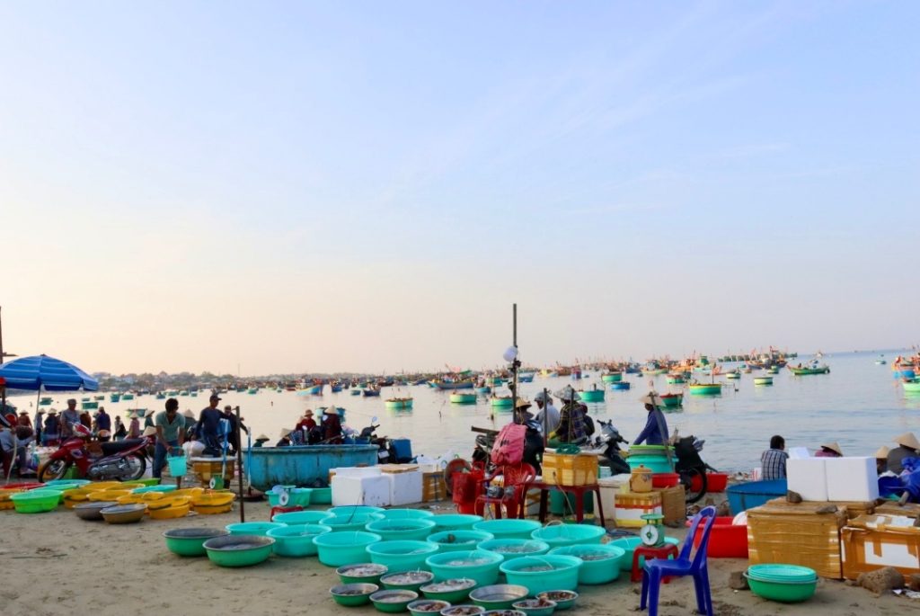 The Mui Ne Fishing Village Market serves as a main wholesale hub