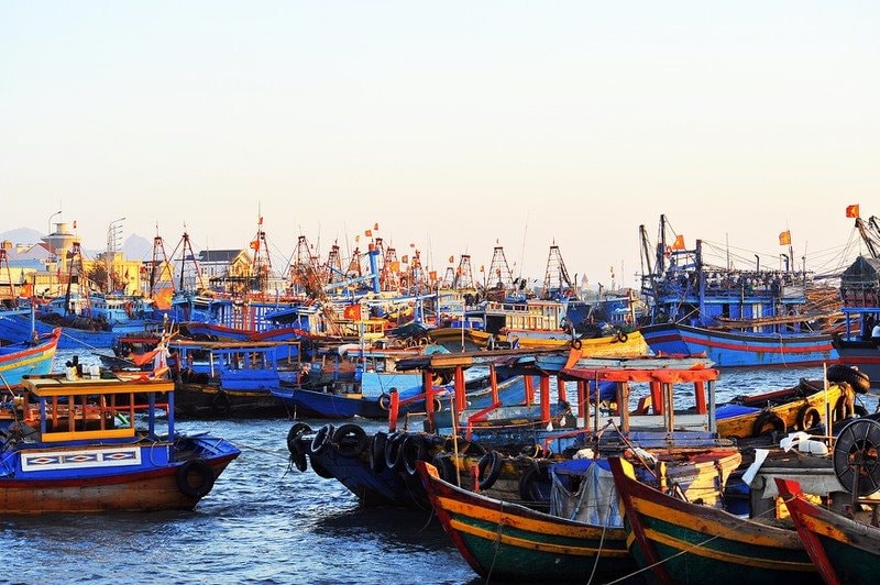 Admire traditional boats swaying in the harbor