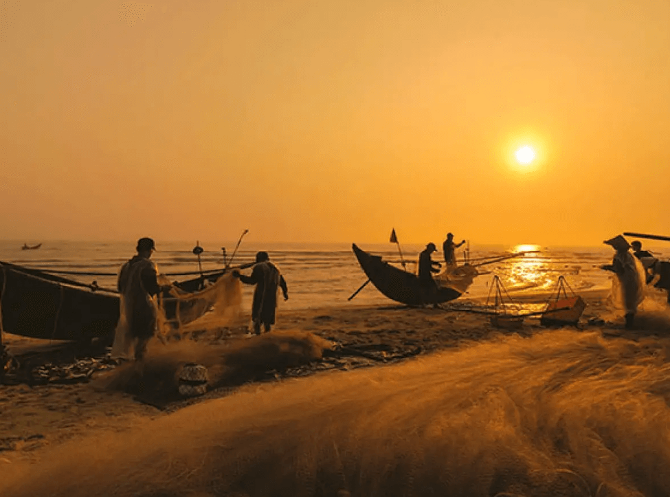 A perfect “virtual living background” for capturing truly vibrant snapshots of life