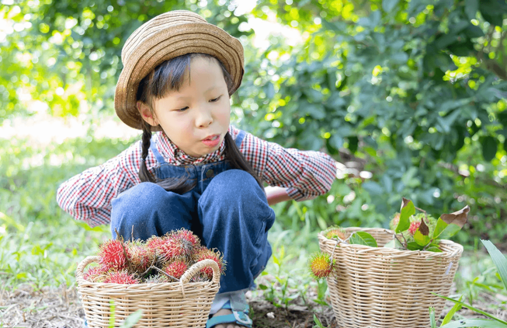 Is Can Tho or Ben Tre better for family travel with young children?