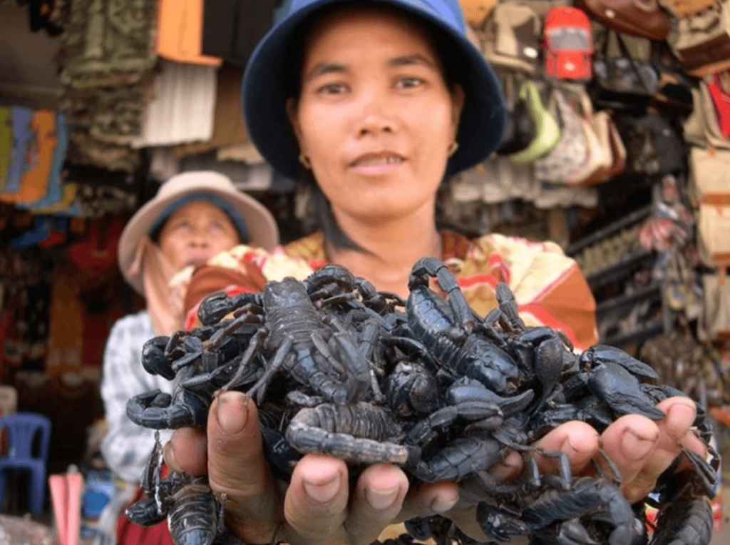 Tinh Bien Insect Market specializes in edible insects