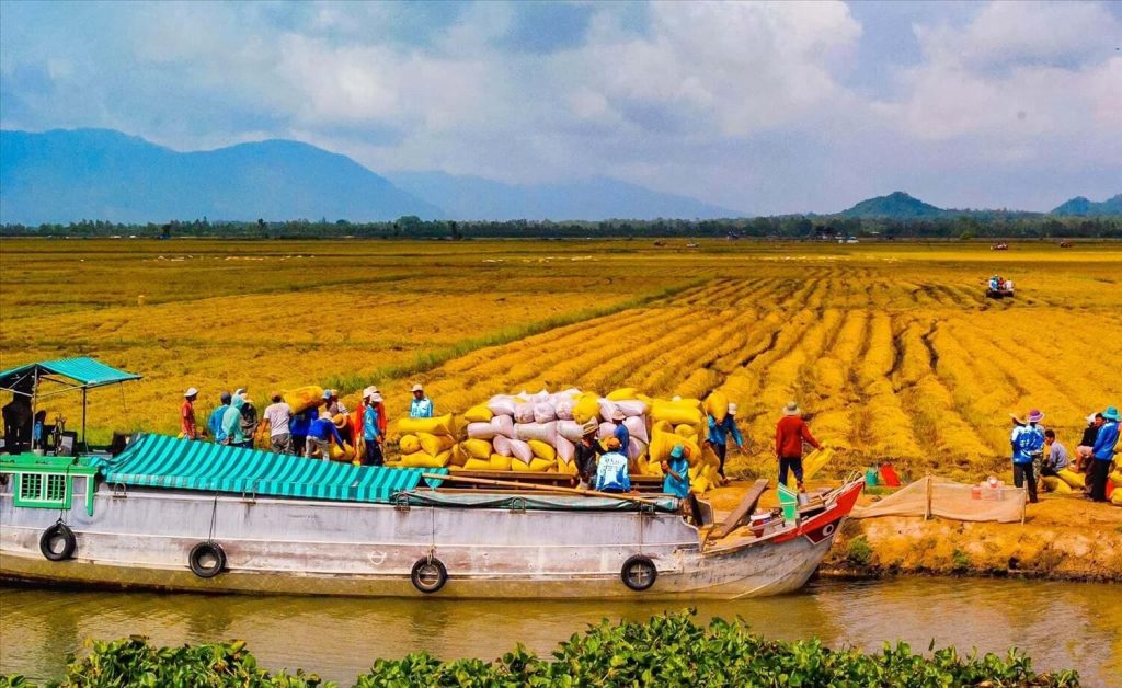 Getting around the Mekong Delta