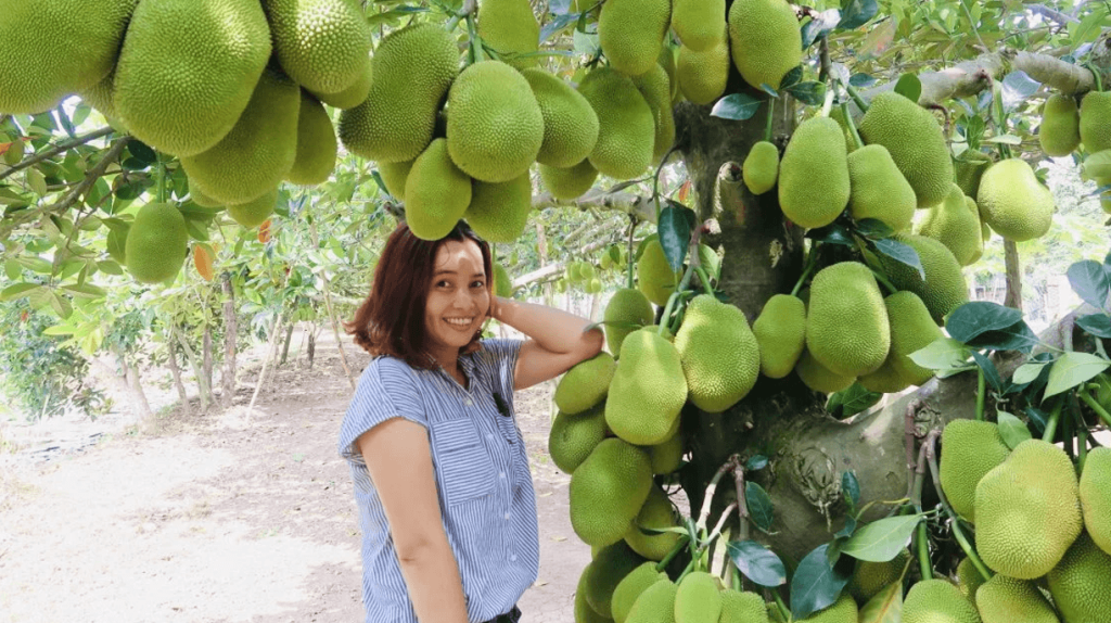 Stop at a seasonal orchard to enjoy tropical fruits